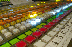TV switcher